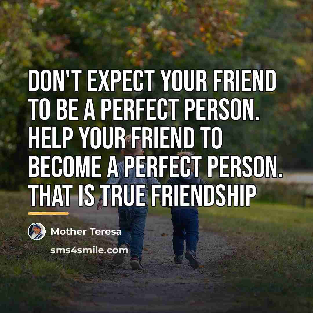 “Don't expect your friend to be a perfect person. Help…” quote by Mother Teresa