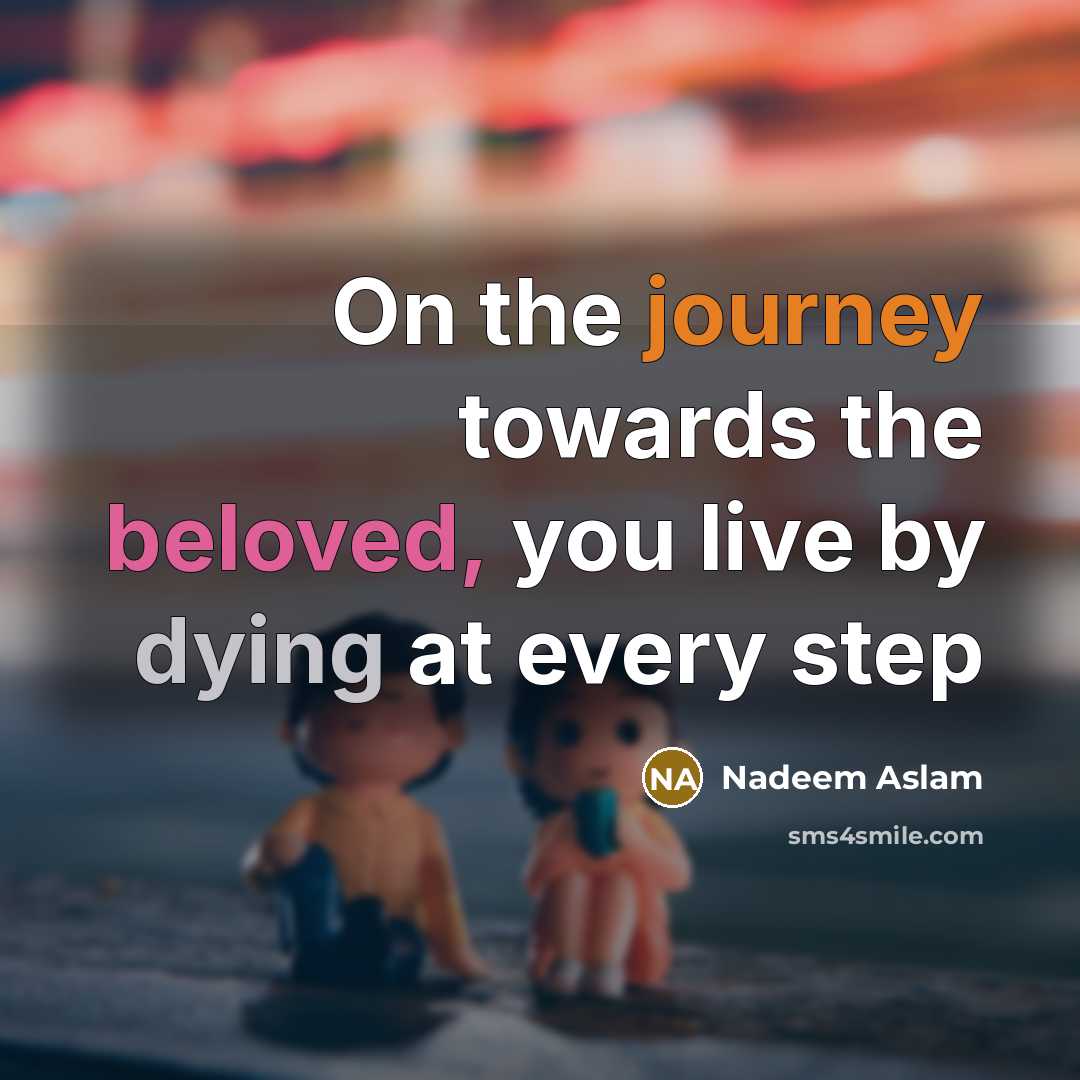 “On the journey towards the beloved, you live by dying…” quote by Nadeem Aslam