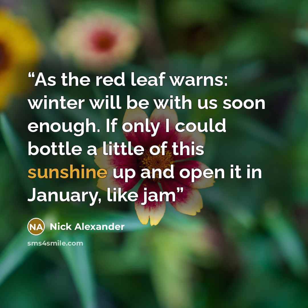 “As the red leaf warns: winter will be with us soon enough. If only I could bottle a little of this sunshine up and open it in January, like jam” quote by Nick Alexander
