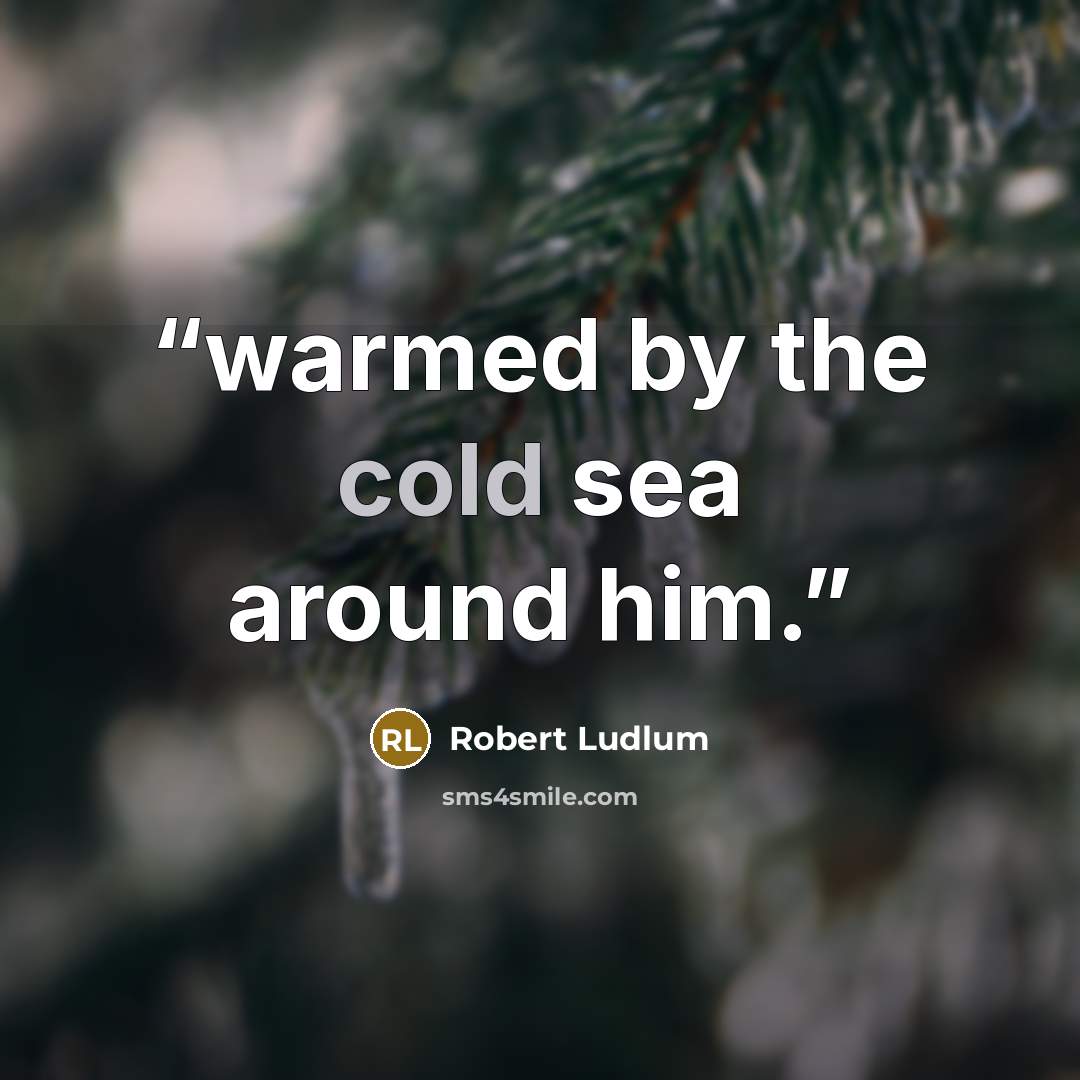 “warmed by the cold sea around him.” quote by Robert Ludlum