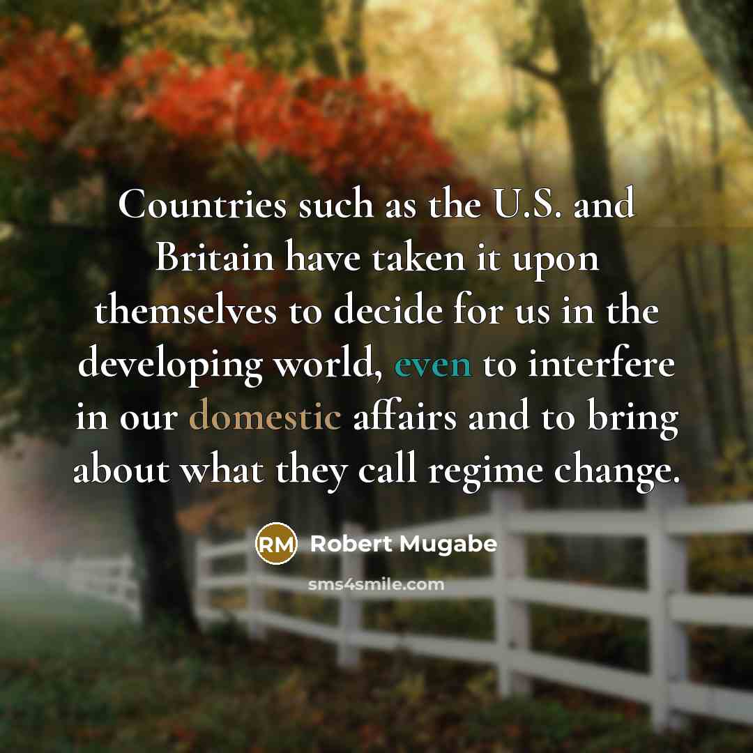 “Countries such as the U.S. and Britain have taken it…” quote by Robert Mugabe