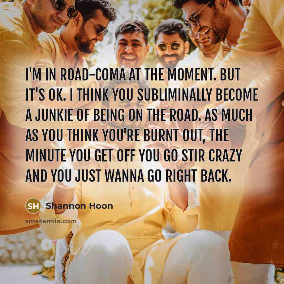 “I'm in road-coma at the moment. But it's OK. I…” quote by Shannon Hoon