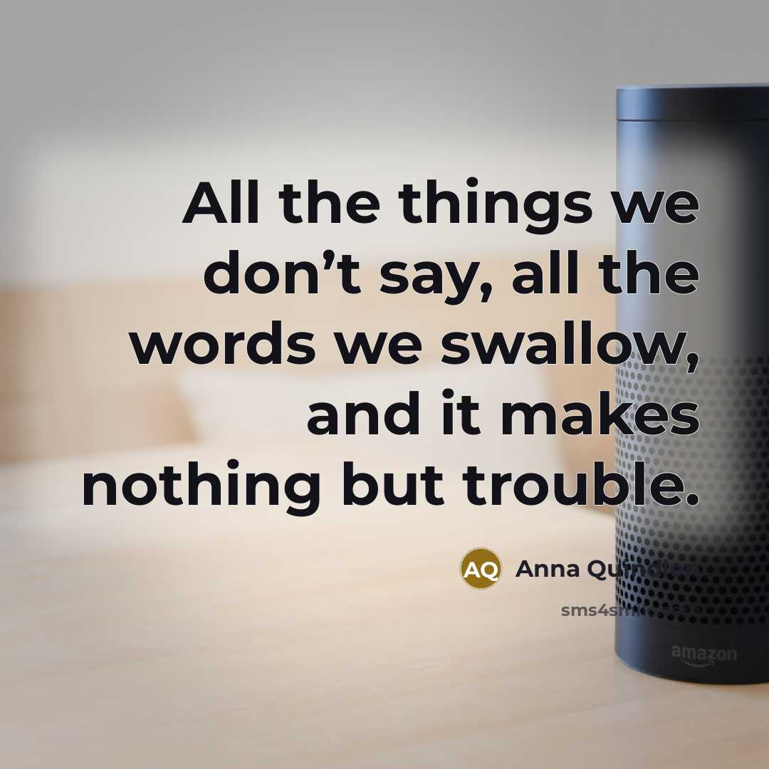 “All the things we don’t say, all the words we…” quote by Anna Quindlen
