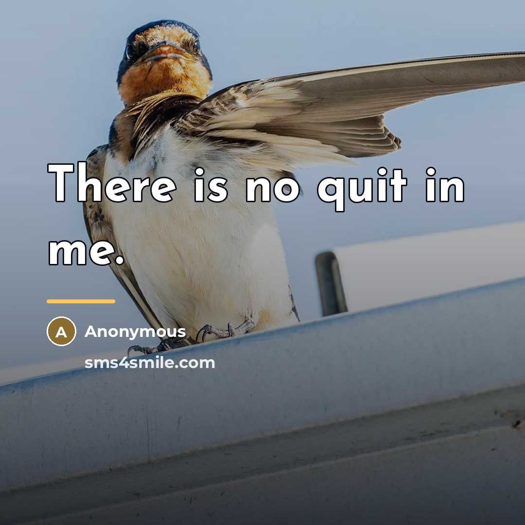 “There is no quit in me.…” quote by Anonymous