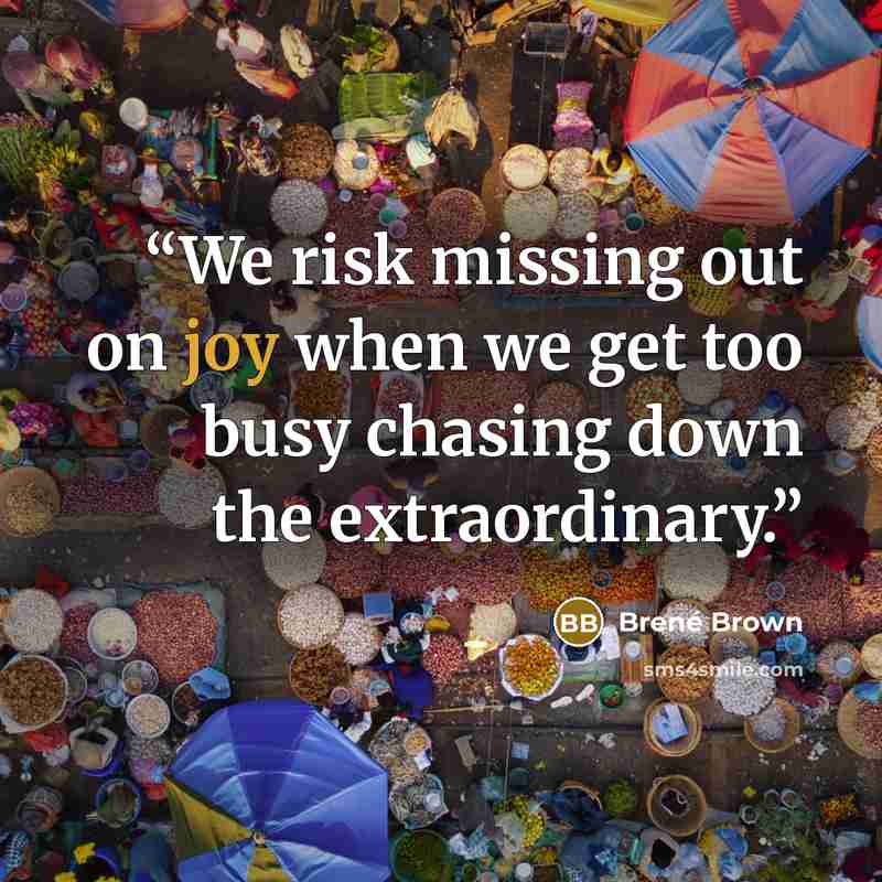 “We risk missing out on joy when we get too busy chasing down the extraordinary.” quote by Brené Brown