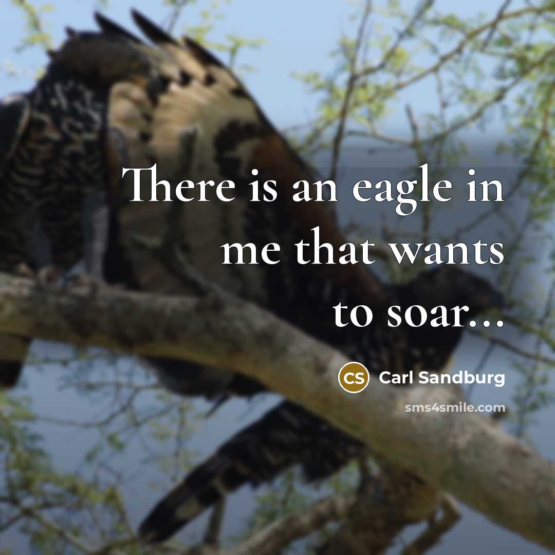 “There is an eagle in me that wants to soar...” quote by Carl Sandburg
