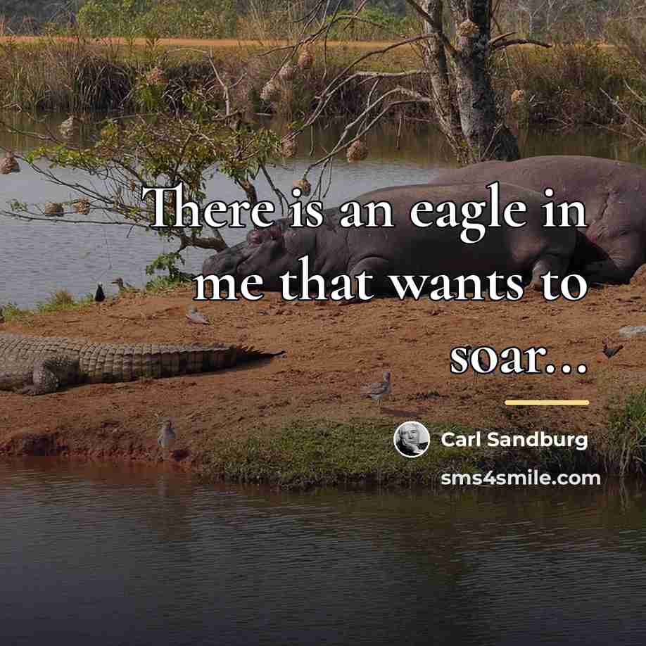 “There is an eagle in me that wants to soar...…” quote by Carl Sandburg