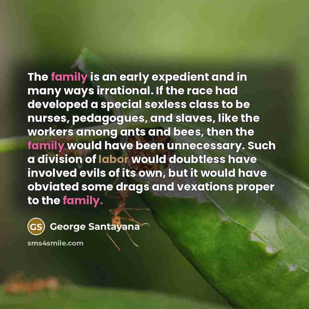 “The family is an early expedient and in many ways…” quote by George Santayana