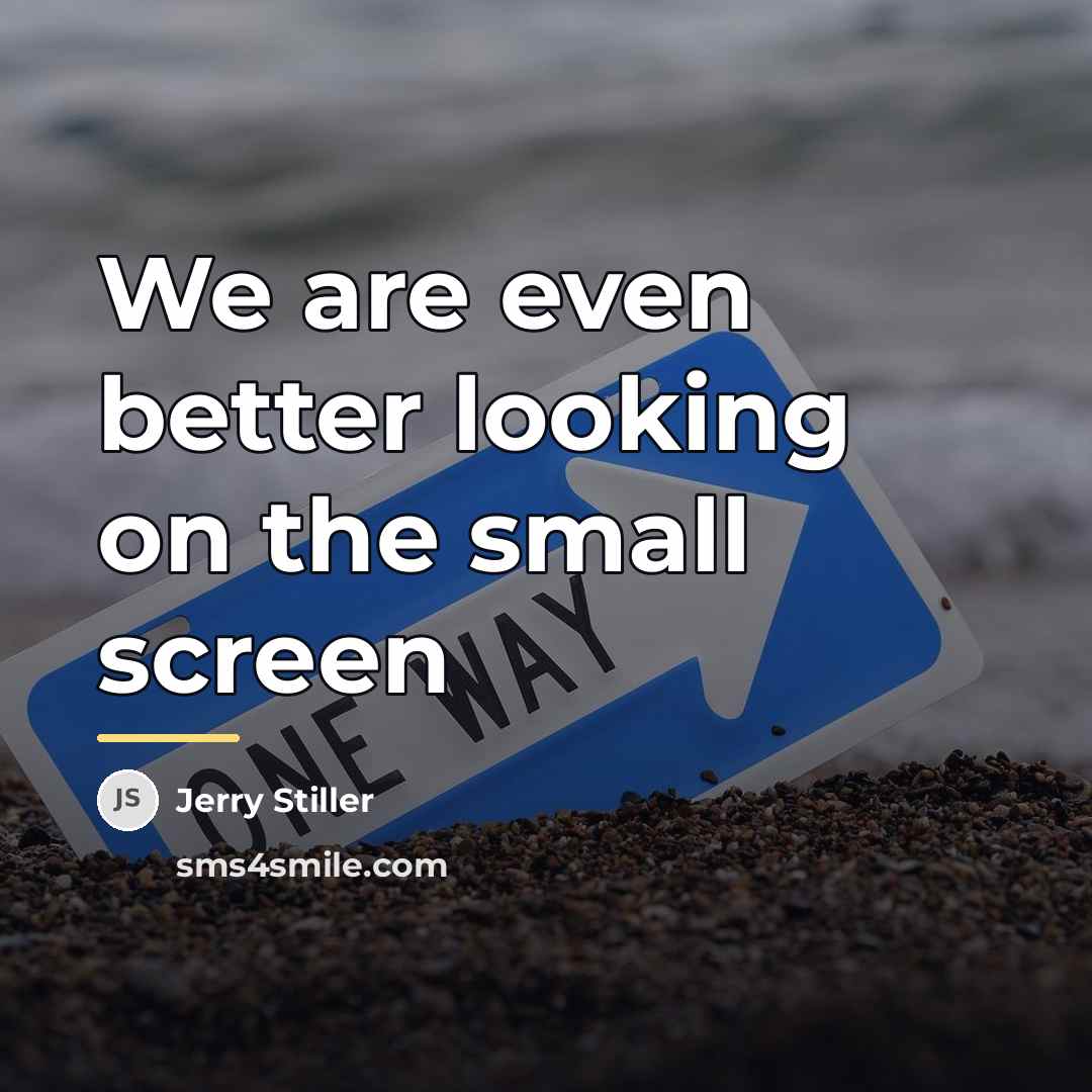 “We are even better looking on the small screen…” quote by Jerry Stiller