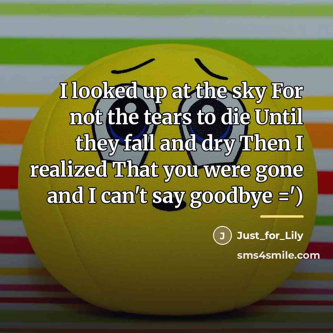 “I looked up at the sky For not the tears…” quote by Just_for_Lily