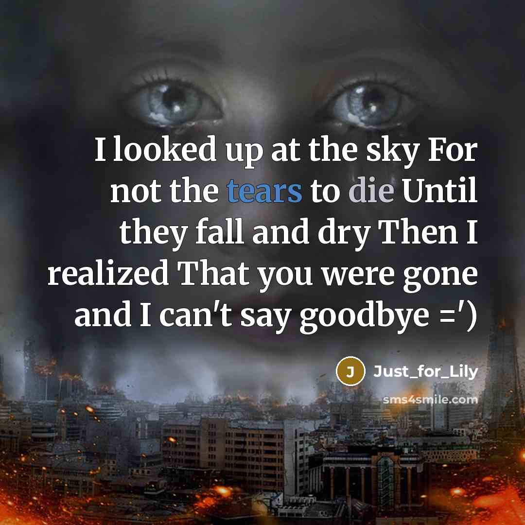 “I looked up at the sky For not the tears to die Until they fall and dry Then I realized That you were gone and I can't say goodbye =')” quote by Just_for_Lily