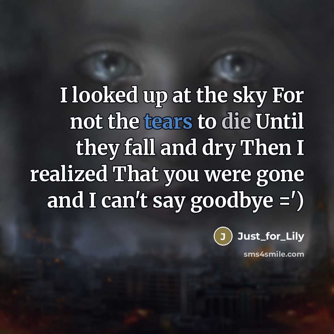 “I looked up at the sky For not the tears to die Until they fall and dry Then I realized That you were gone and I can't say goodbye =')” quote by Just_for_Lily