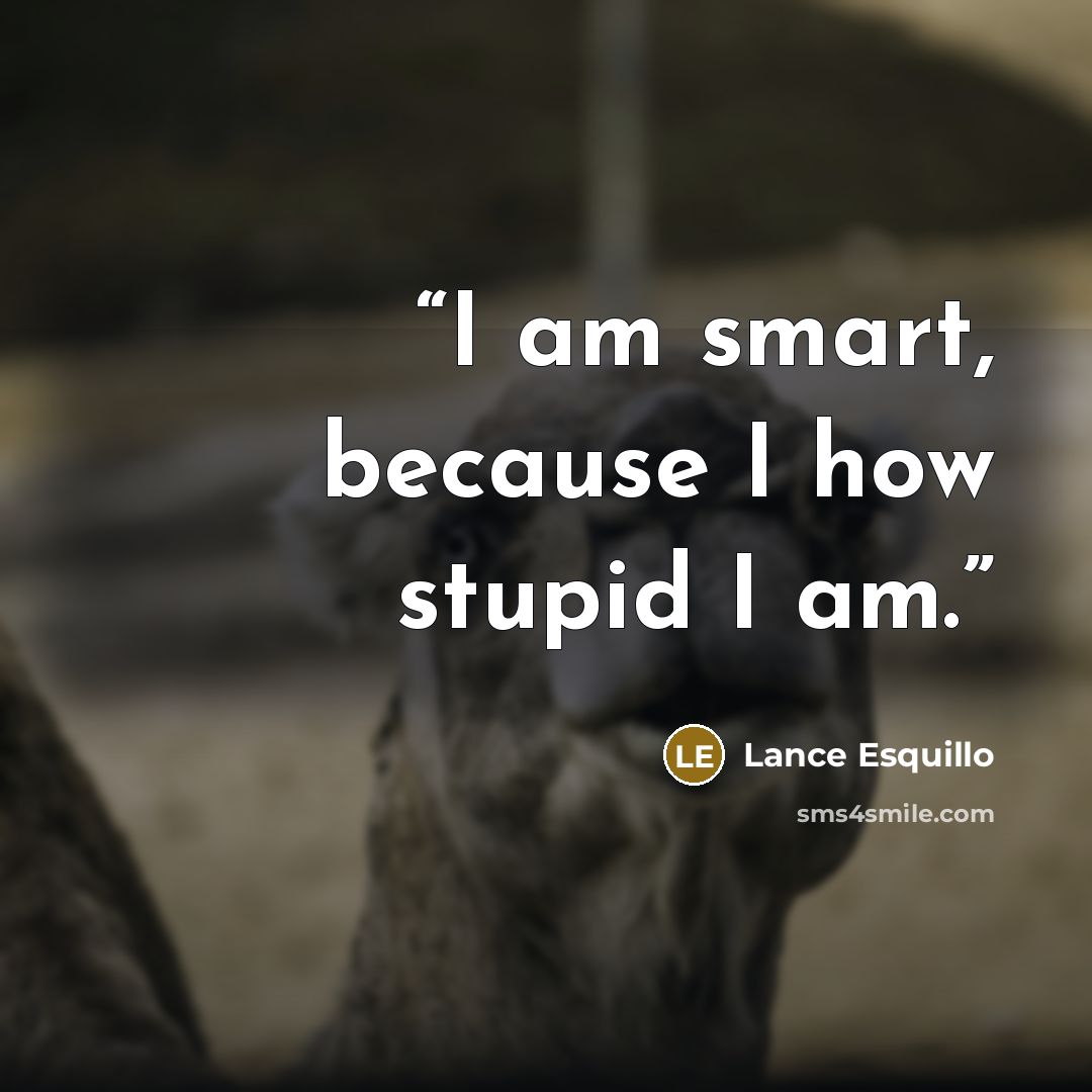 “I am smart, because I how stupid I am.” quote by Lance Esquillo