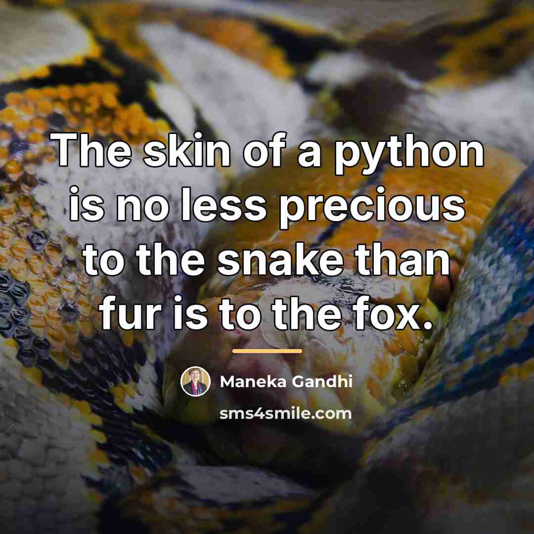 “The skin of a python is no less precious to…” quote by Maneka Gandhi