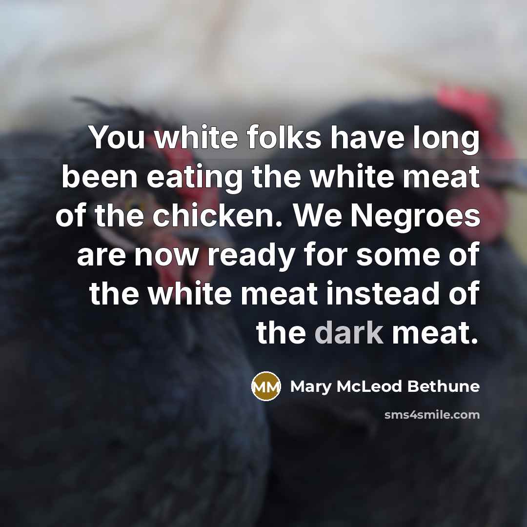 “You white folks have long been eating the white meat…” quote by Mary McLeod Bethune