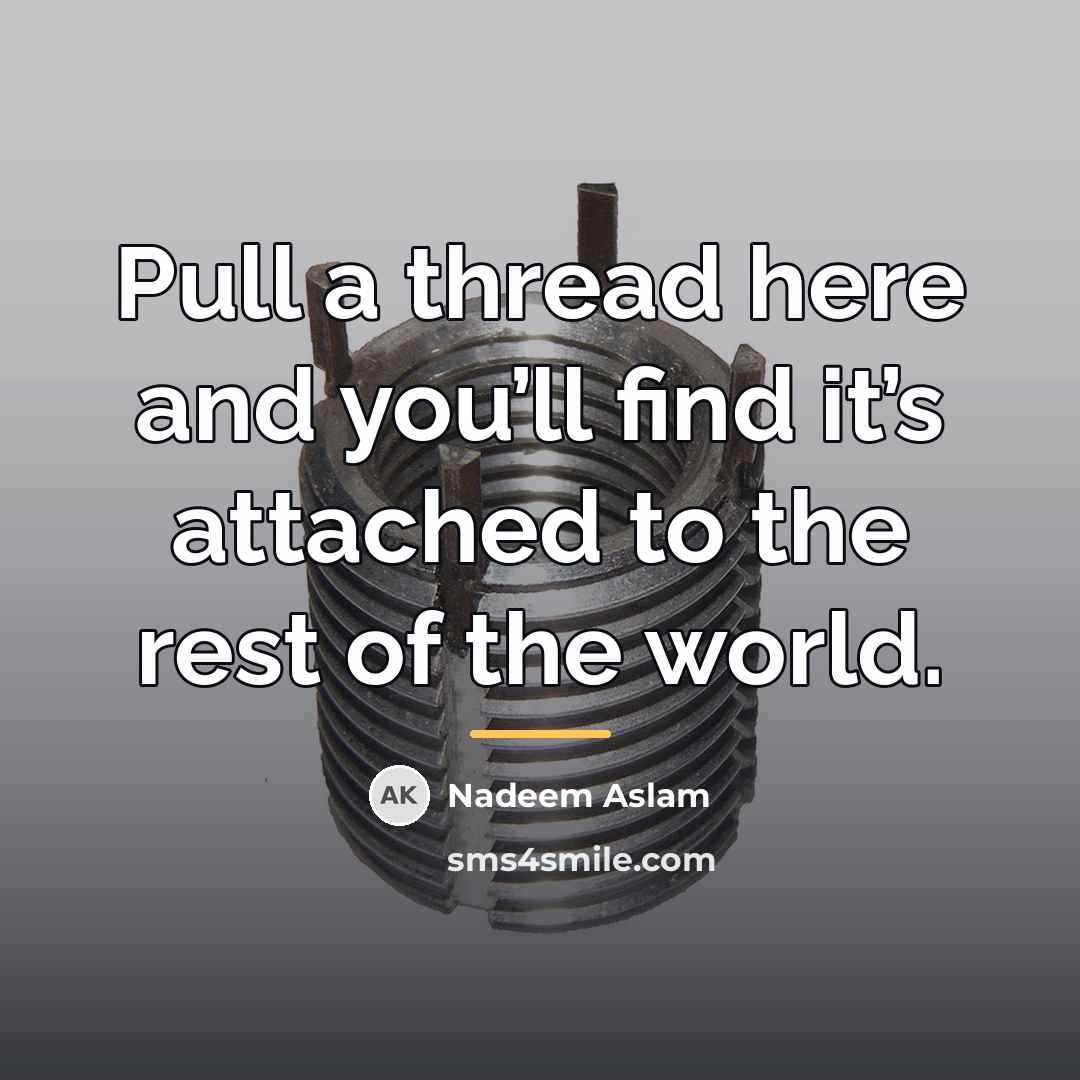 “Pull a thread here and you’ll find it’s attached to…” quote by Nadeem Aslam