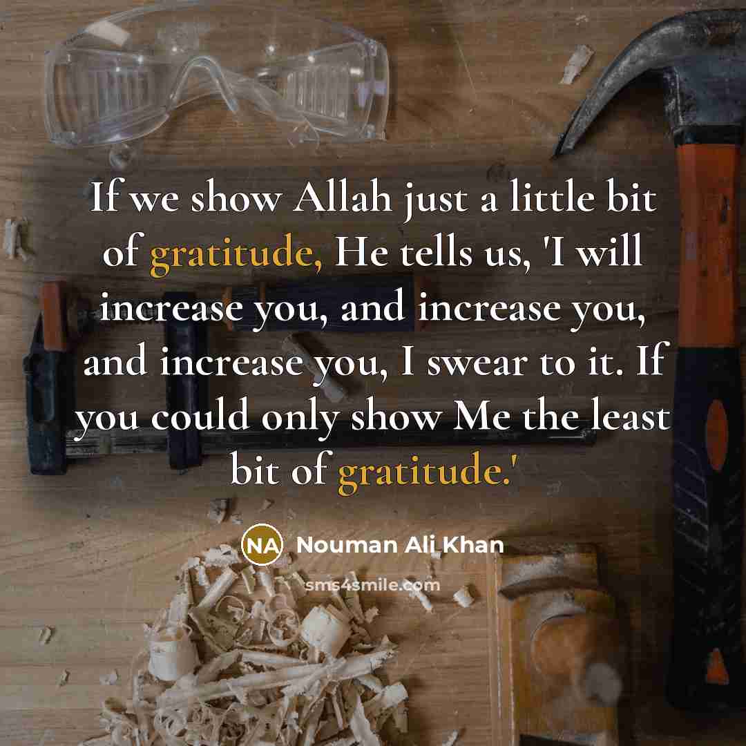 “If we show Allah just a little bit of gratitude,…” quote by Nouman Ali Khan