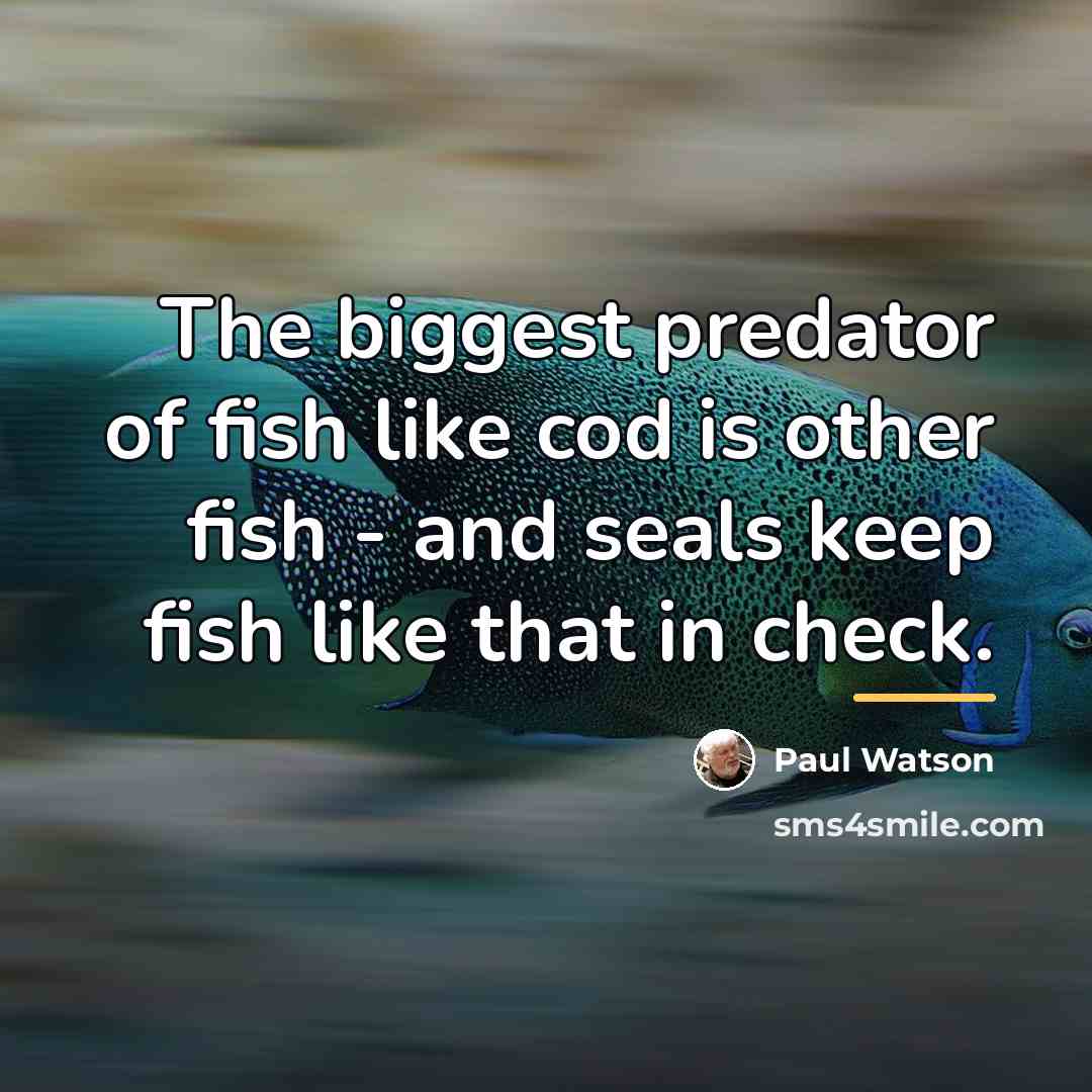 “The biggest predator of fish like cod is other fish…” quote by Paul Watson