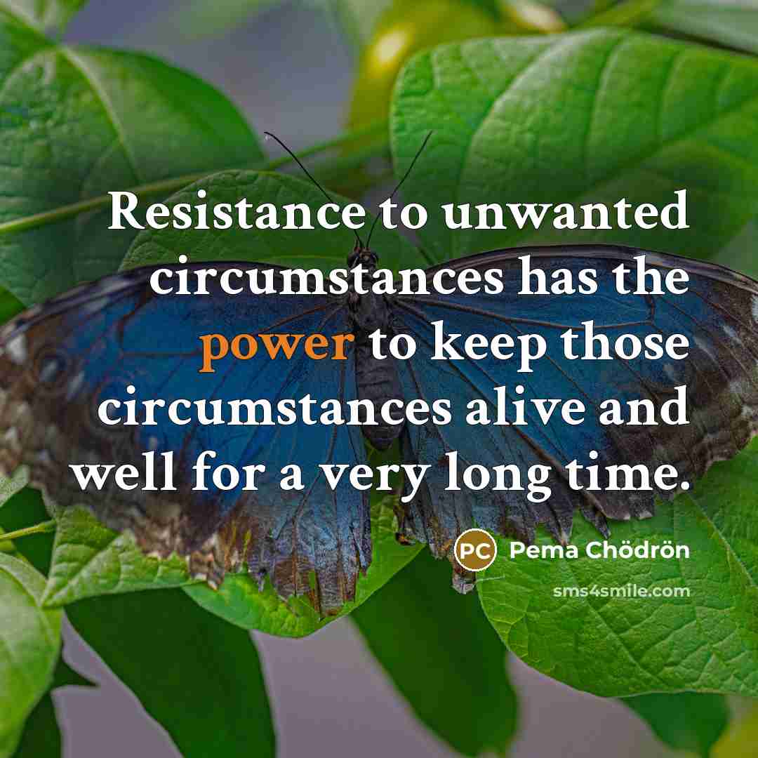“Resistance to unwanted circumstances has the power to keep those…” quote by Pema Chodron