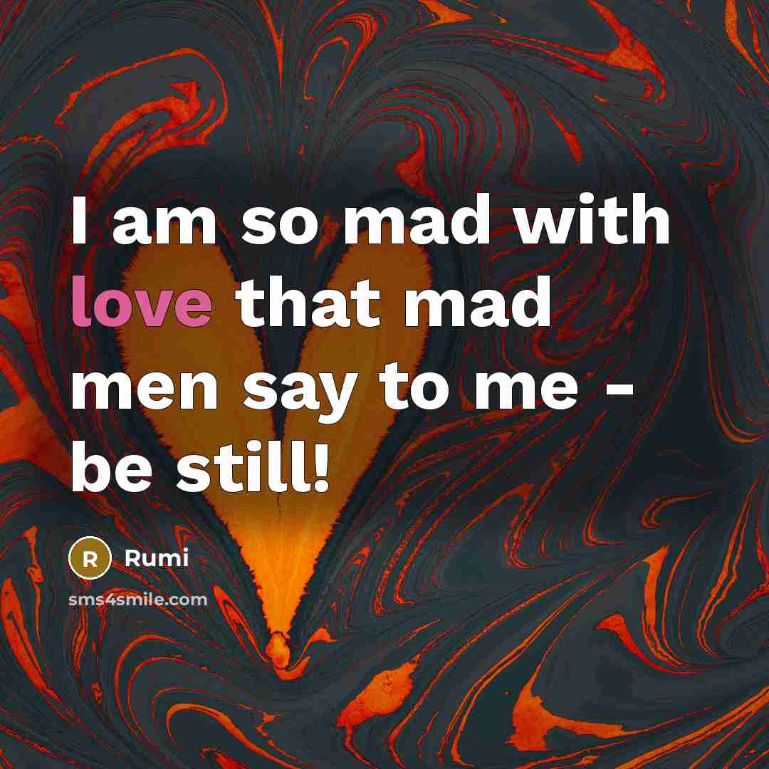 “I am so mad with love that mad men say…” quote by Rumi