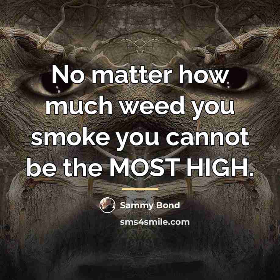 “No matter how much weed you smoke you cannot be…” quote by Sammy Bond