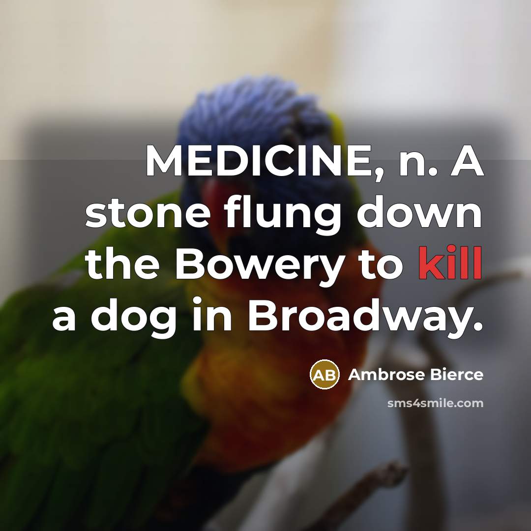 “MEDICINE, n. A stone flung down the Bowery to kill a dog in Broadway.” quote by Ambrose Bierce