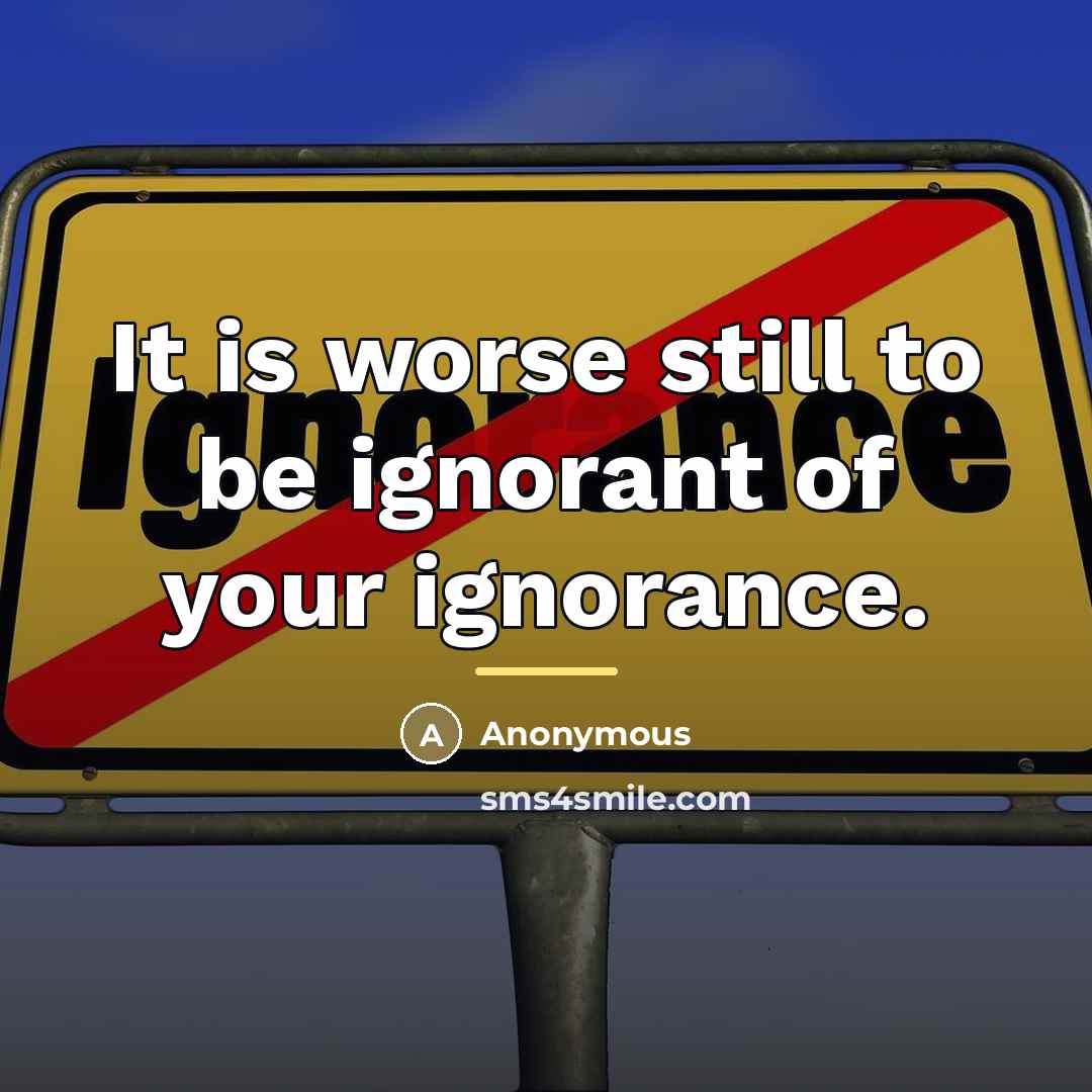 “It is worse still to be ignorant of your ignorance.…” quote by Anonymous
