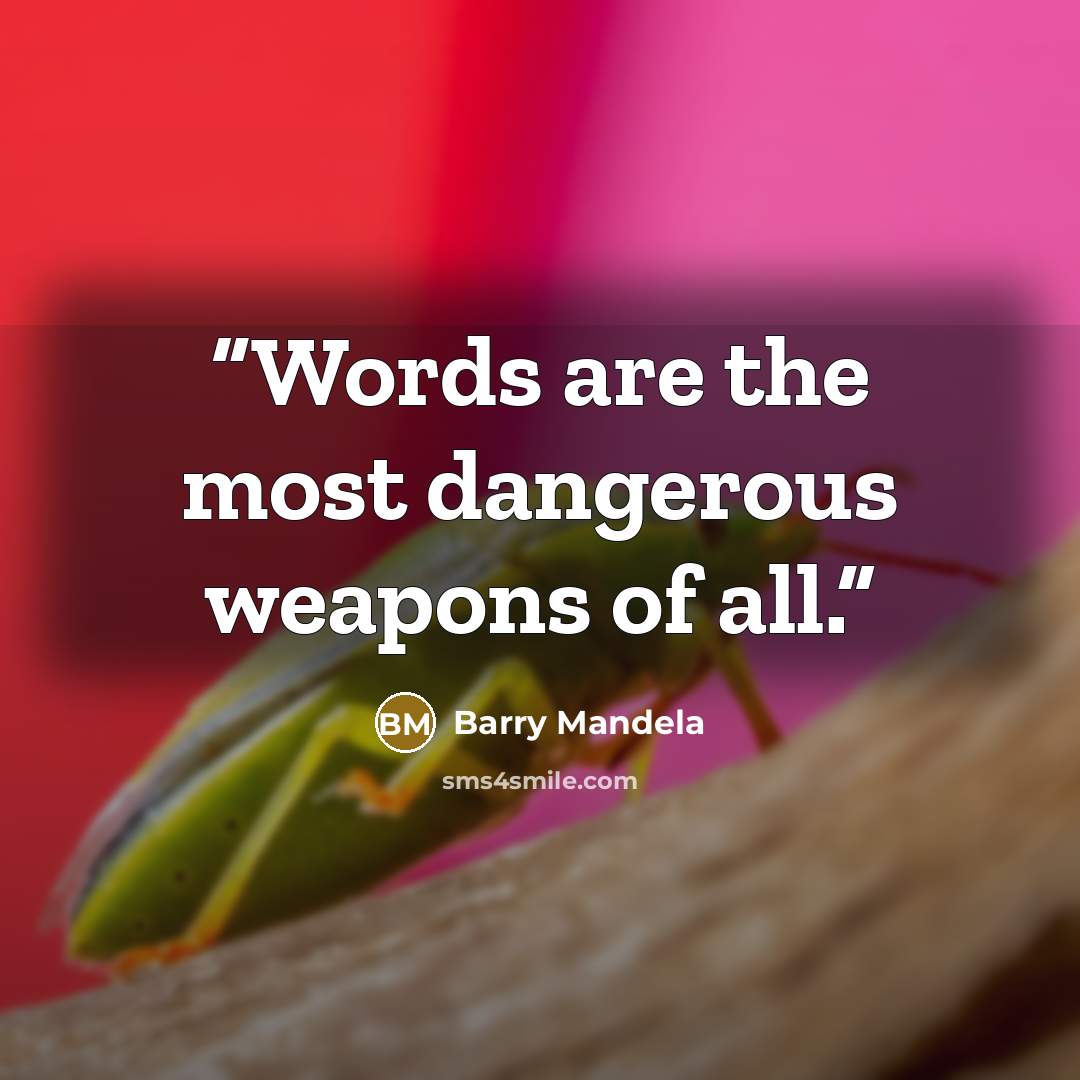 “Words are the most dangerous weapons of all.” quote by Barry Mandela