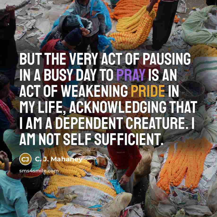 “But the very act of pausing in a busy day…” quote by C. J. Mahaney