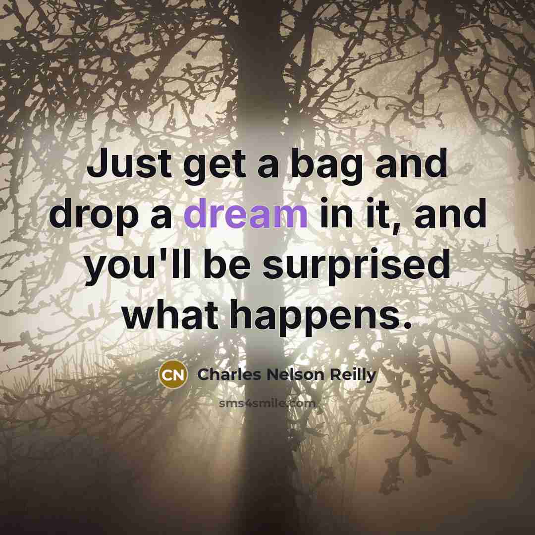 “Just get a bag and drop a dream in it,…” quote by Charles Nelson Reilly