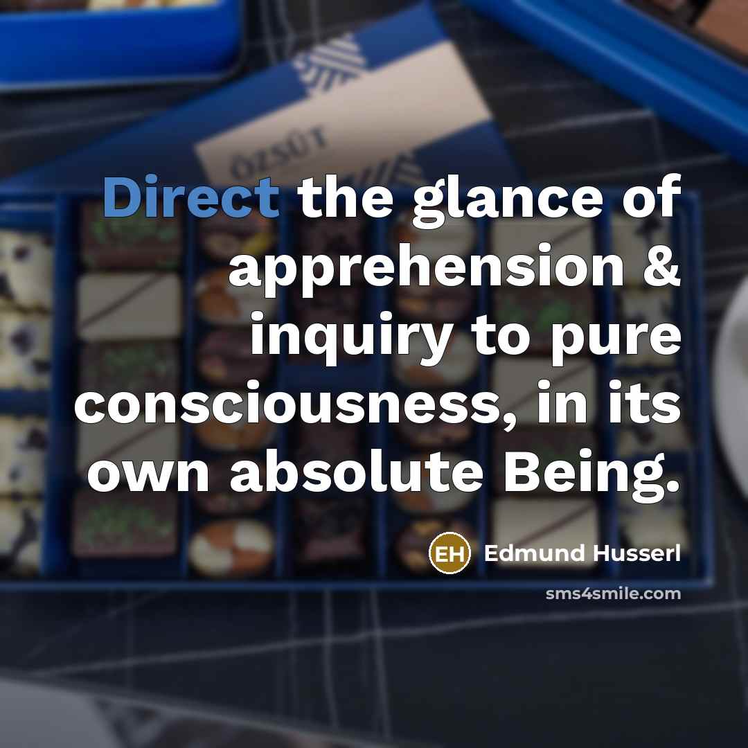 “Direct the glance of apprehension & inquiry to pure consciousness,…” quote by Edmund Husserl