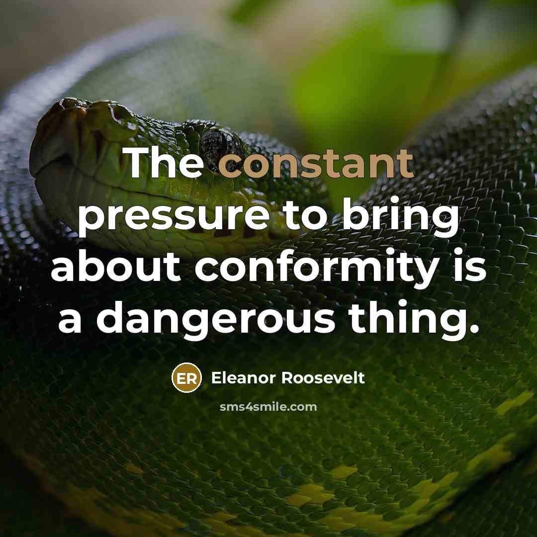 “The constant pressure to bring about conformity is a dangerous…” quote by Eleanor Roosevelt