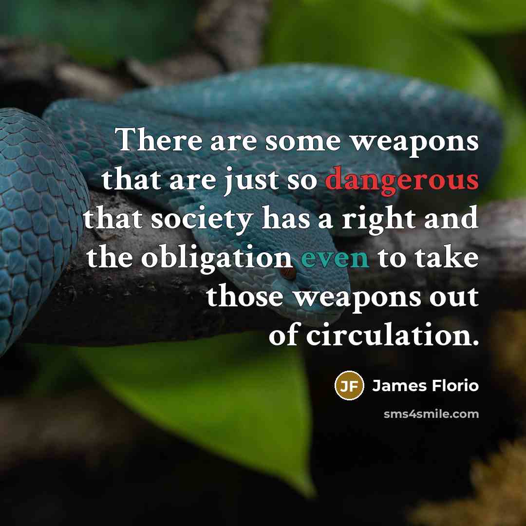 “There are some weapons that are just so dangerous that society has a right and the obligation even to take those weapons out of circulation.” quote by James Florio