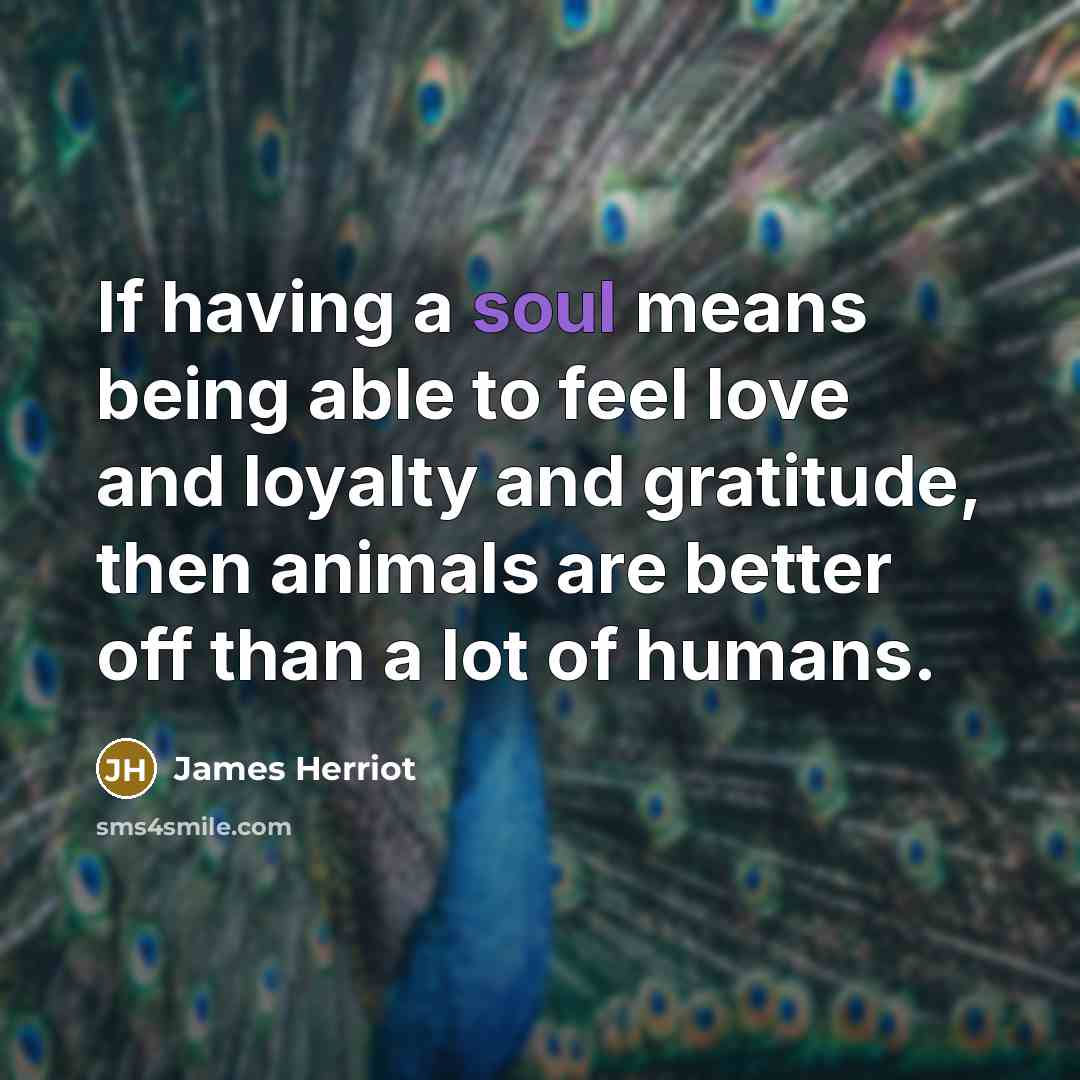 “If having a soul means being able to feel love…” quote by James Herriot