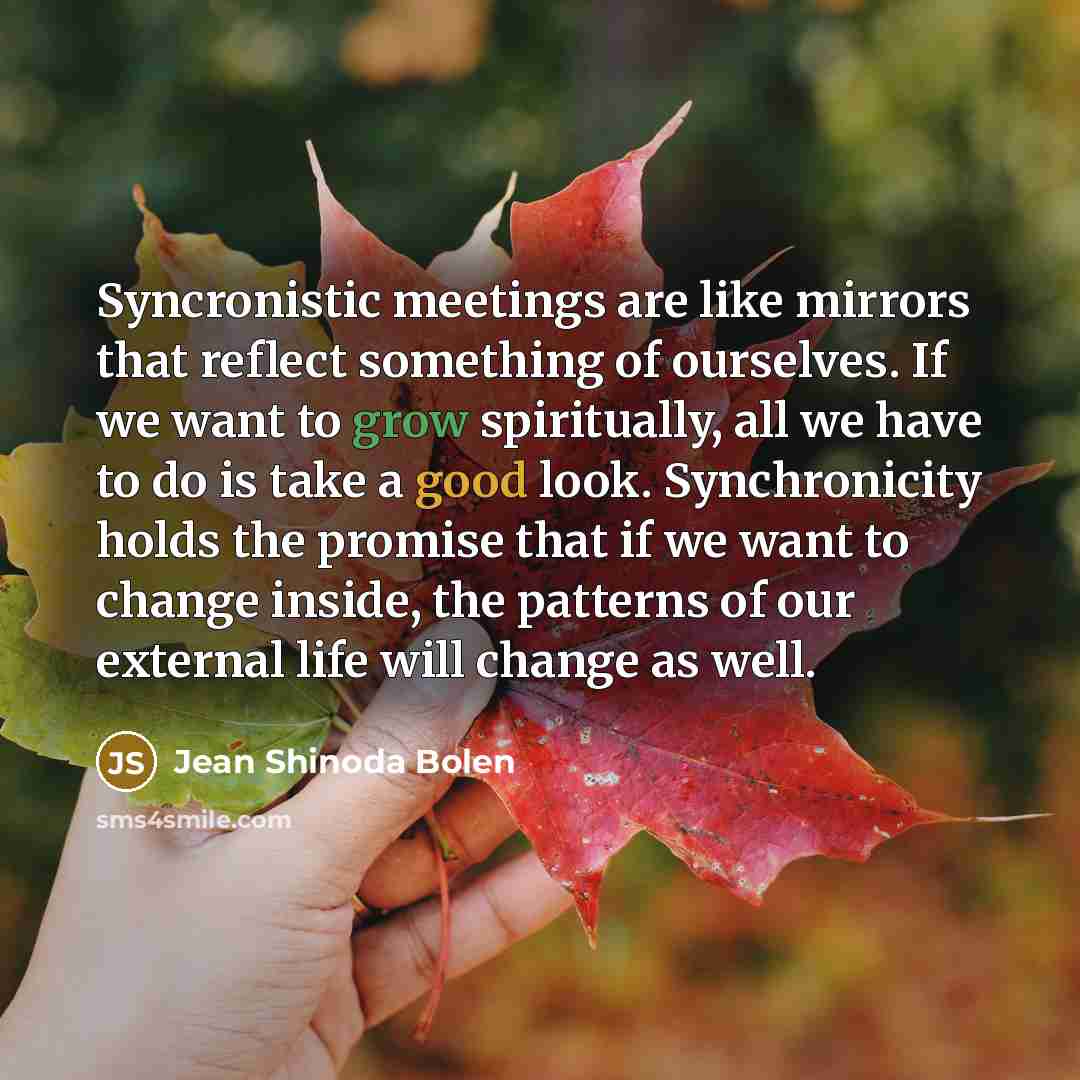 “Syncronistic meetings are like mirrors that reflect something of ourselves.…” quote by Jean Shinoda Bolen