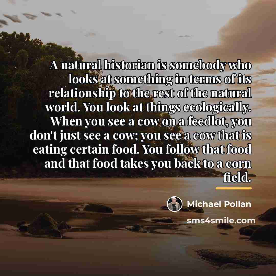 “A natural historian is somebody who looks at something in…” quote by Michael Pollan
