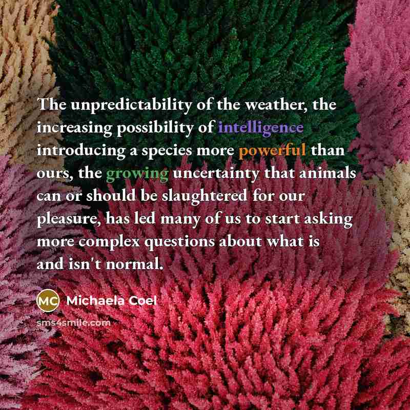 “The unpredictability of the weather, the increasing possibility of intelligence…” quote by Michaela Coel
