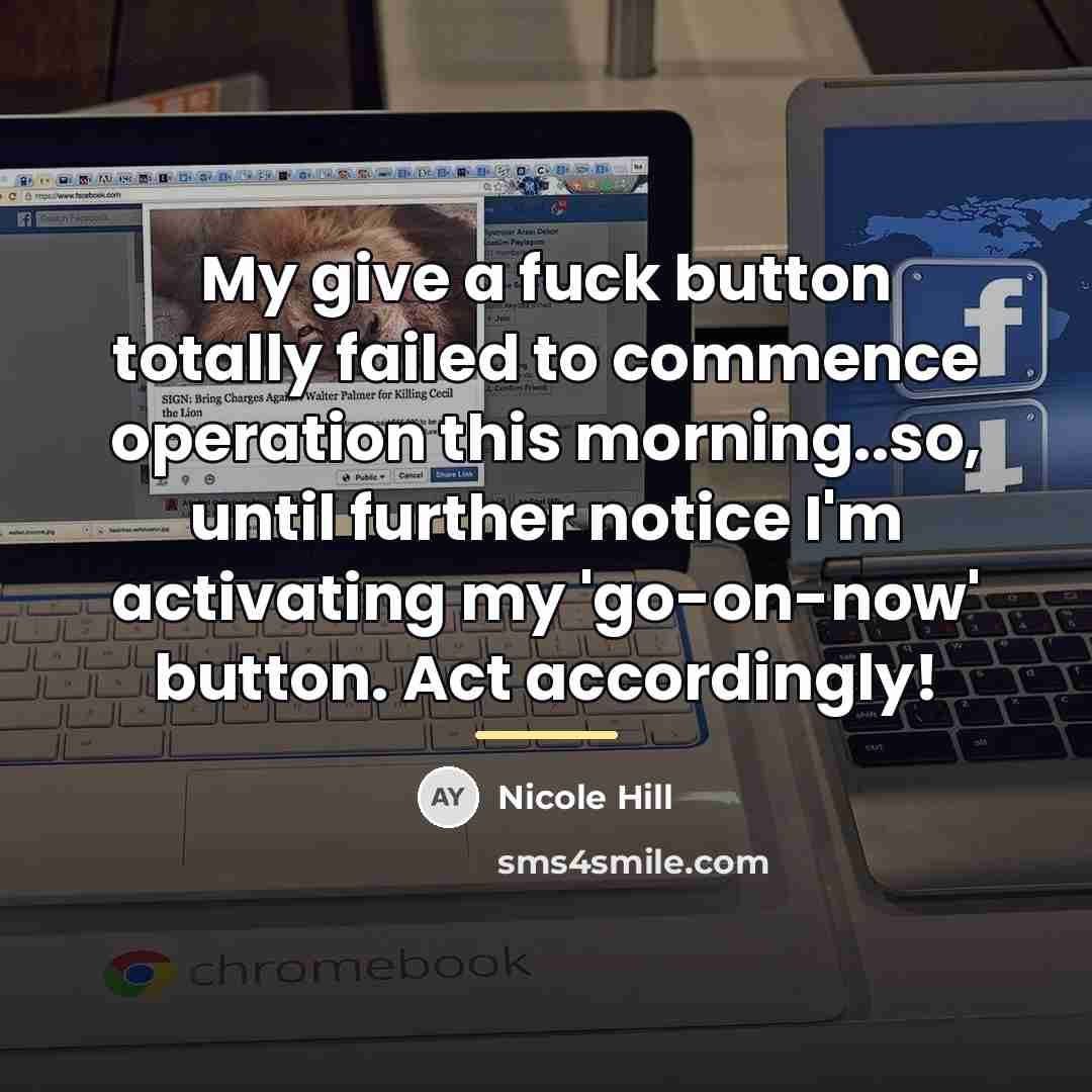 “My give a fuck button totally failed to commence operation…” quote by Nicole HIll