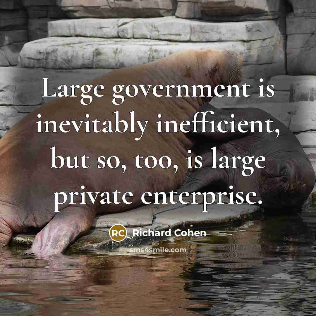 “Large government is inevitably inefficient, but so, too, is large…” quote by Richard Cohen
