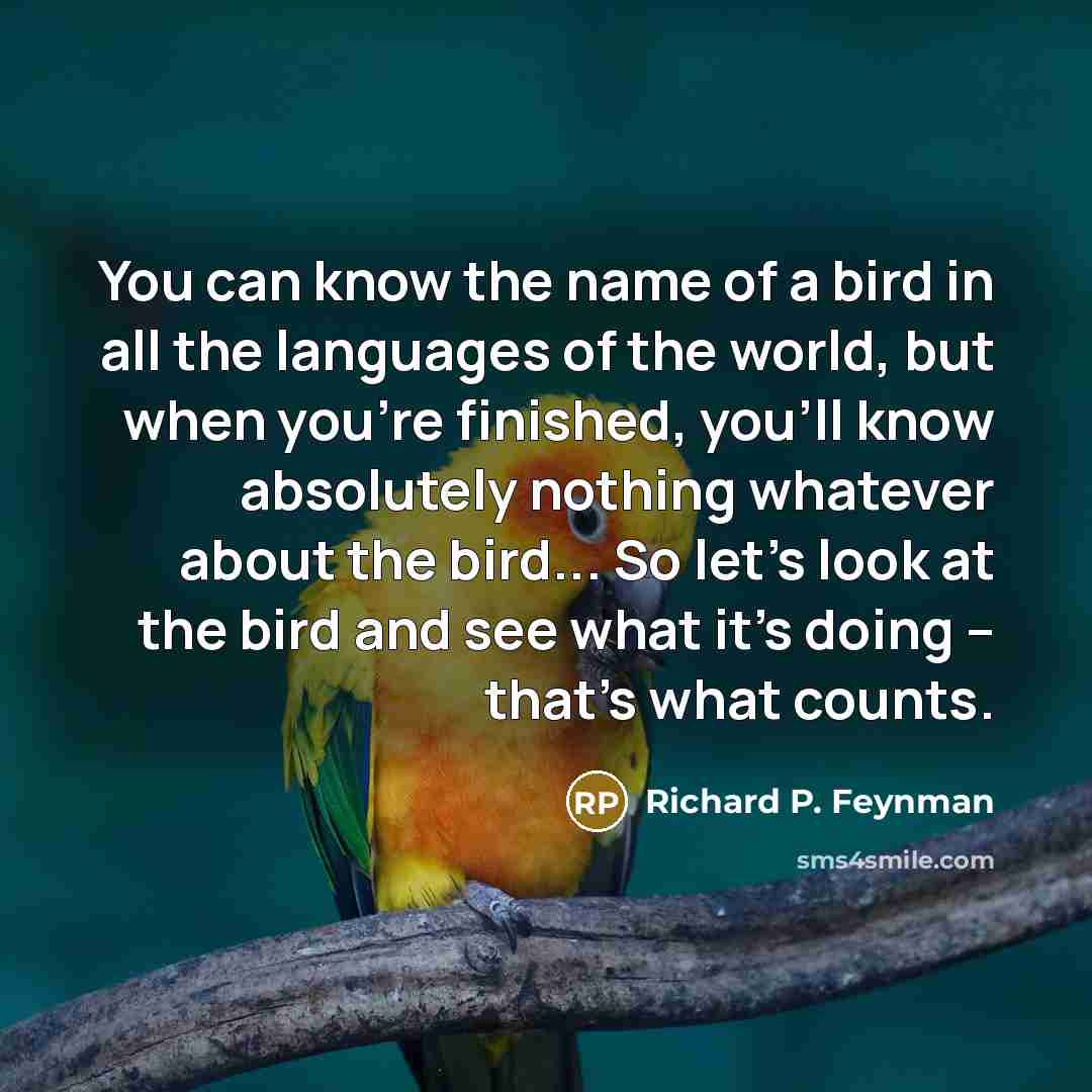 “You can know the name of a bird in all…” quote by Richard P. Feynman