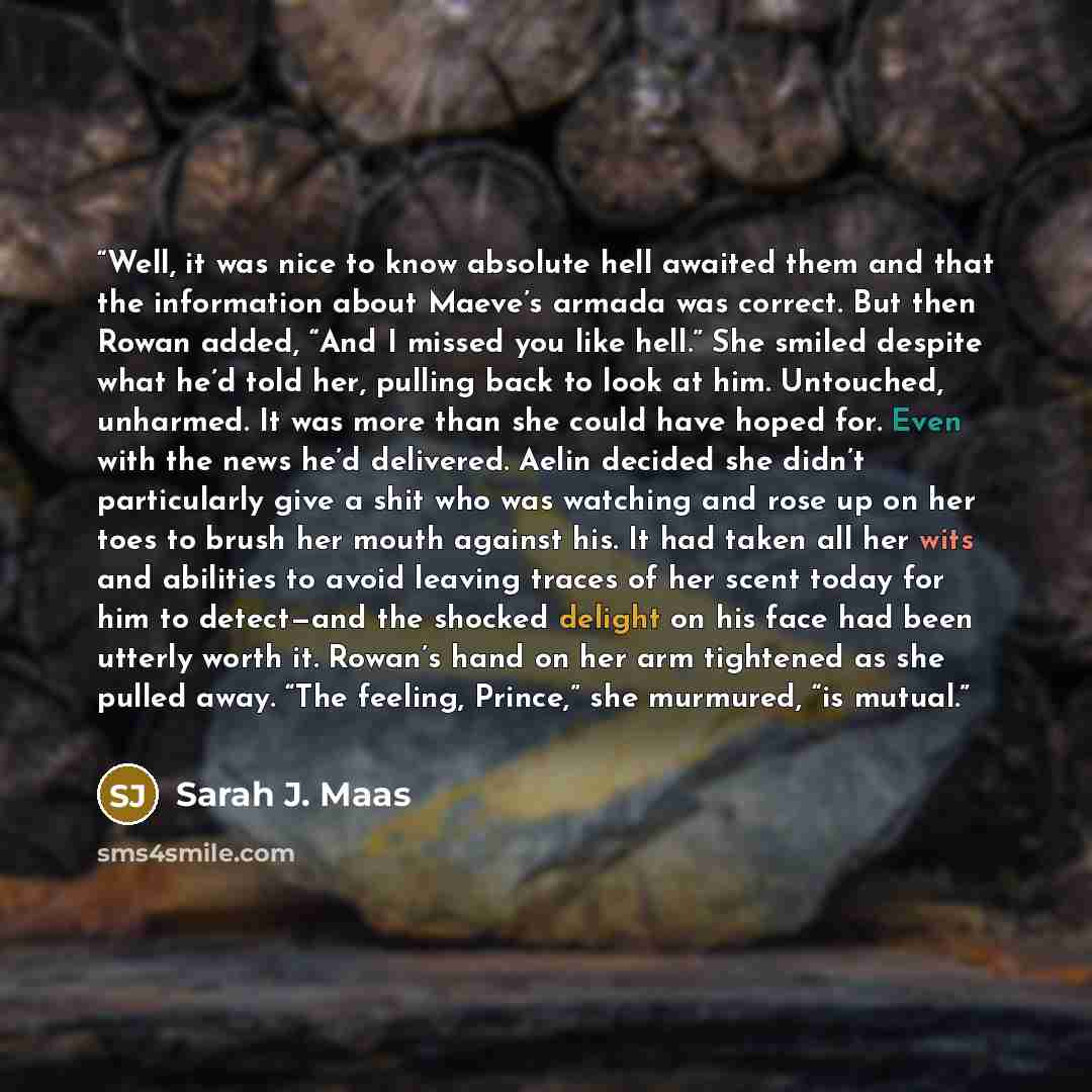 “Well, it was nice to know absolute hell awaited them and that the information about Maeve’s armada was correct. But then Rowan added, “And I missed you like hell.” She smiled despite what he’d told her, pulling back to look at him. Untouched, unharmed. It was more than she could have hoped for…” quote by Sarah J. Maas