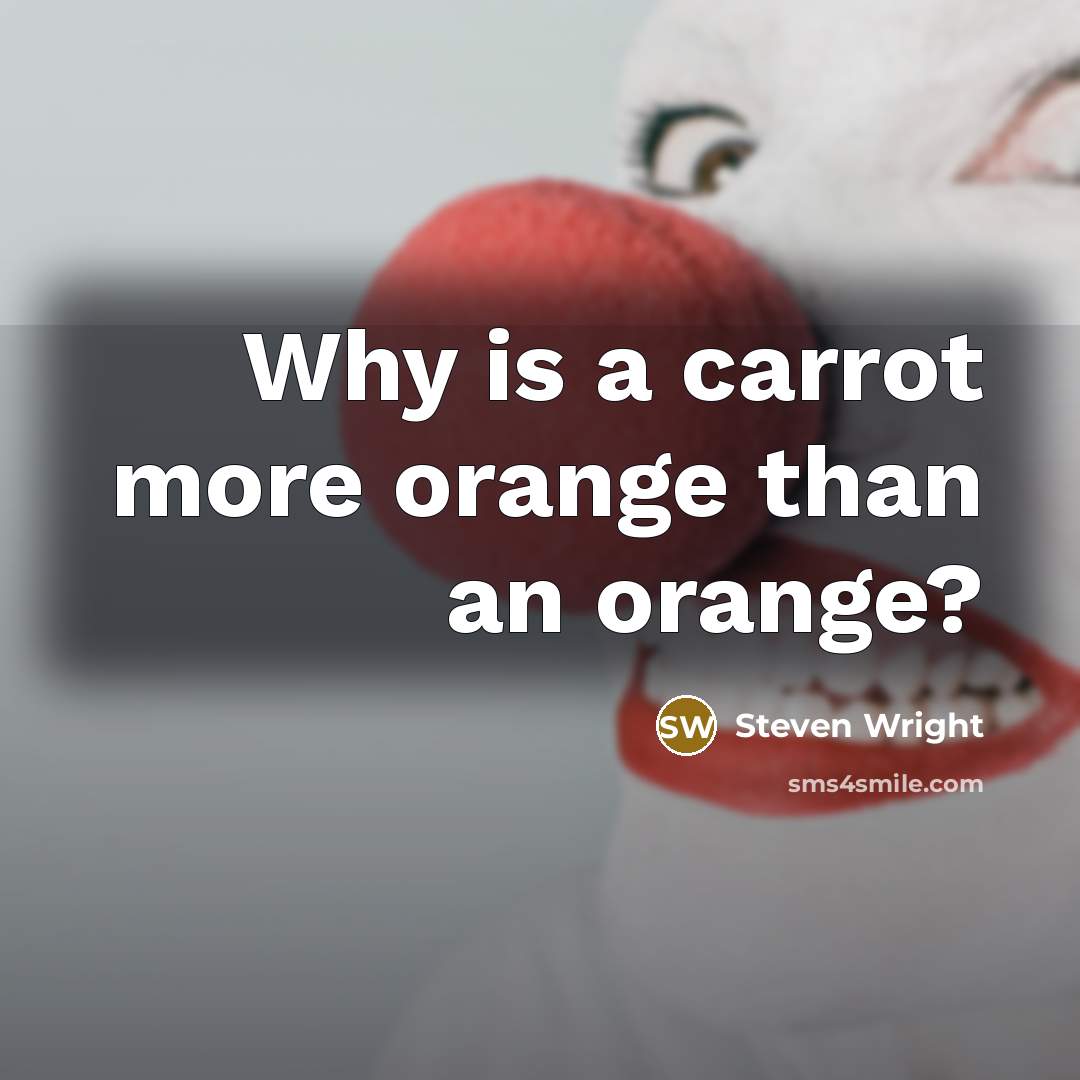 “Why is a carrot more orange than an orange?” quote by Steven Wright