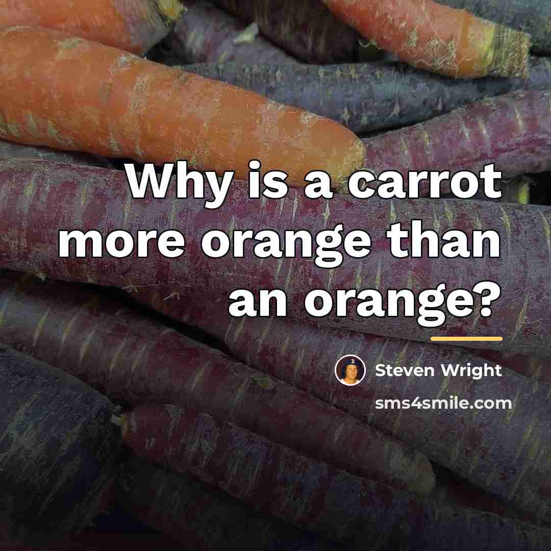 “Why is a carrot more orange than an orange?…” quote by Steven Wright