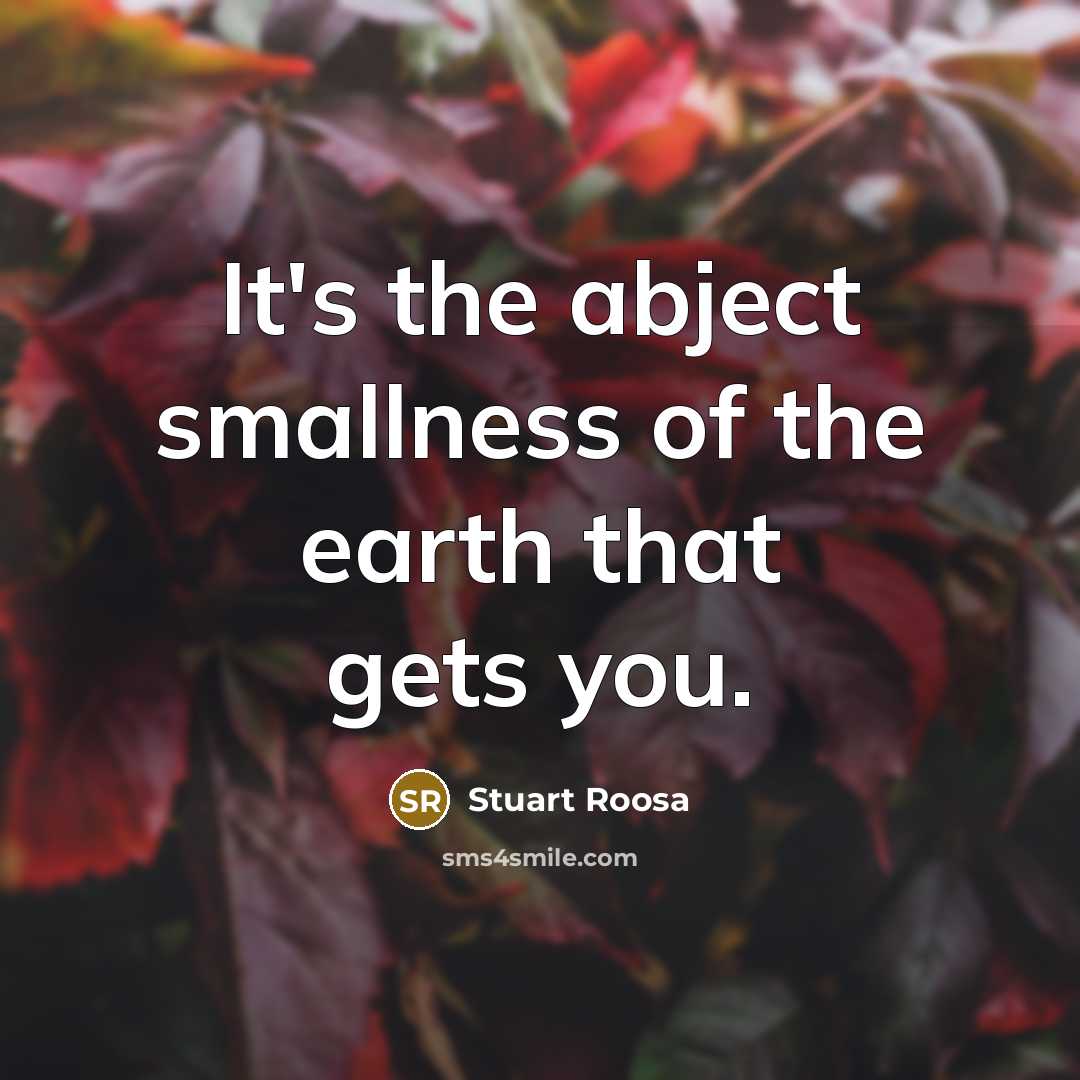 “It's the abject smallness of the earth that gets you.” quote by Stuart Roosa