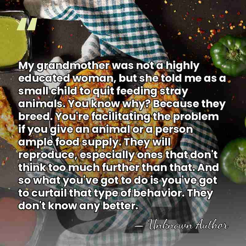 My grandmother was not a highly educated woman, but she told me&hellip; - Unknown Author