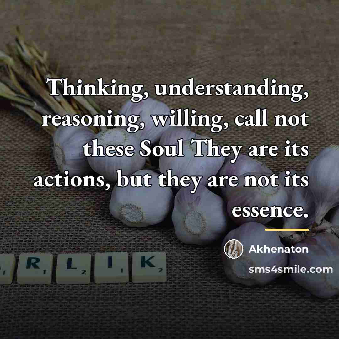 “Thinking, understanding, reasoning, willing, call not these Soul They are…” quote by Akhenaton
