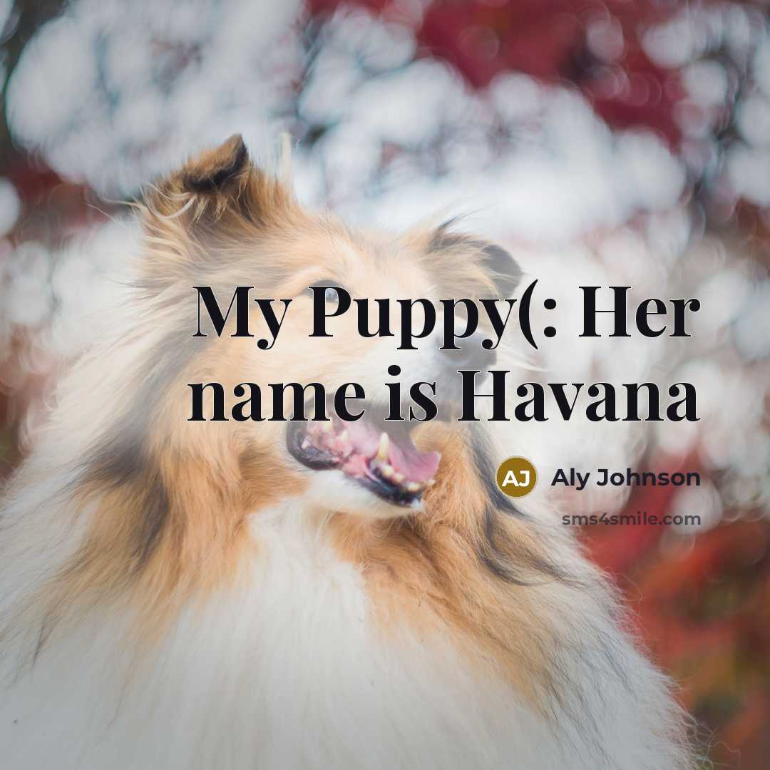“My Puppy(: Her name is Havana…” quote by Aly Johnson