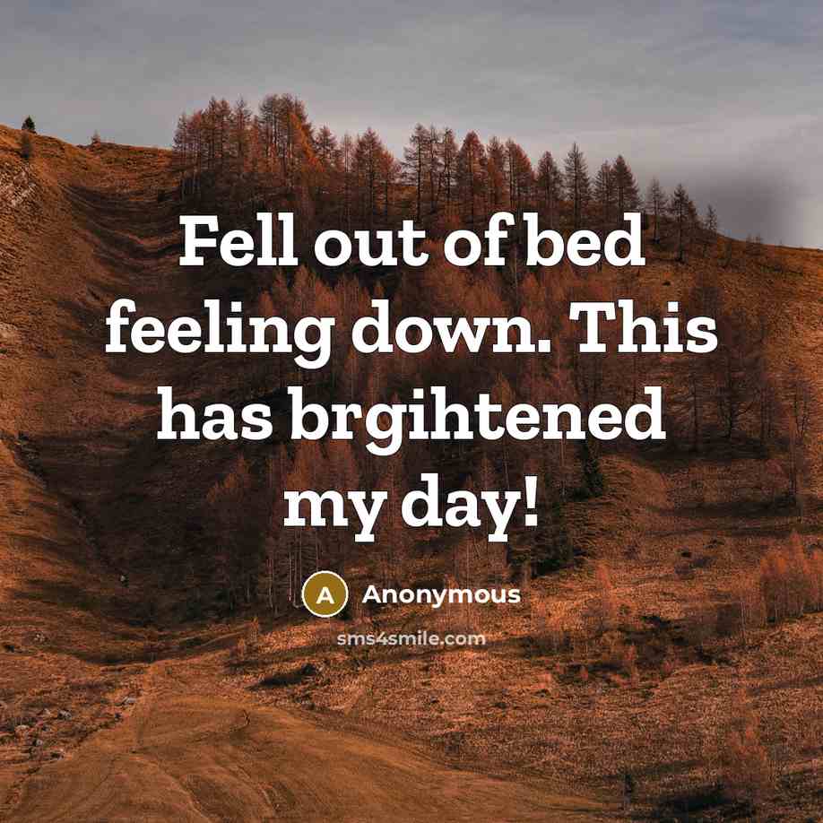 “Fell out of bed feeling down. This has brgihtened my day!” quote by Anonymous