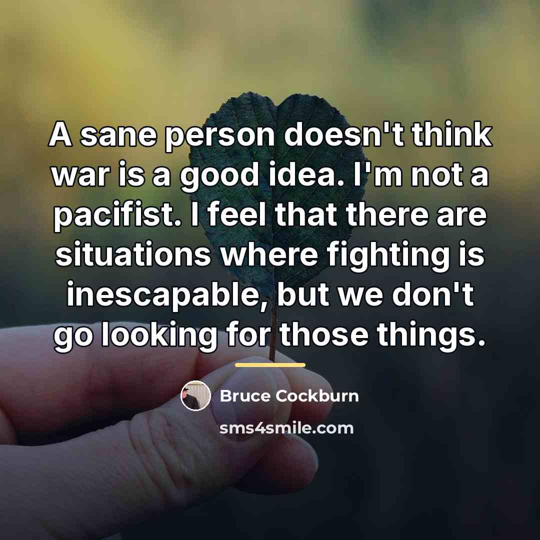 “A sane person doesn't think war is a good idea.…” quote by Bruce Cockburn