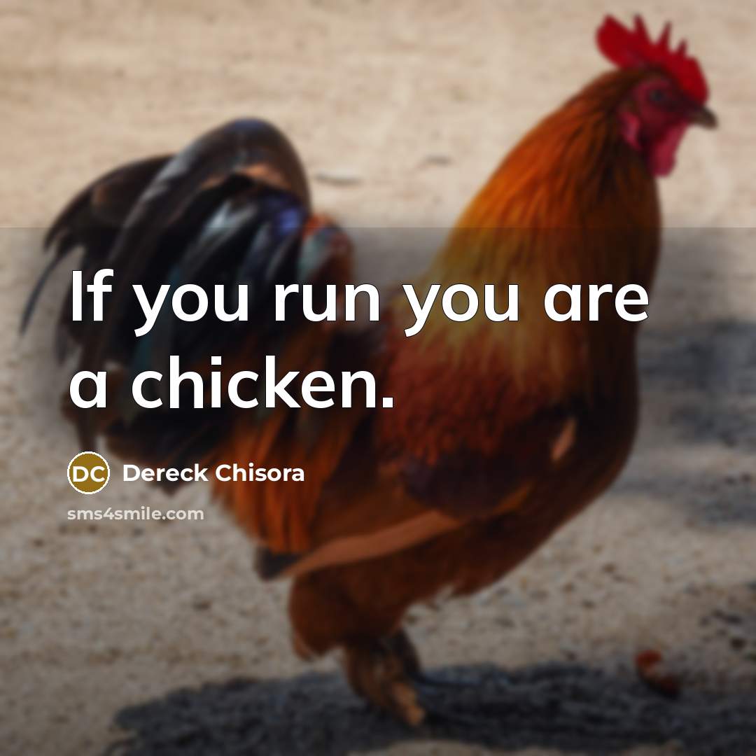 “If you run you are a chicken.…” quote by Dereck Chisora